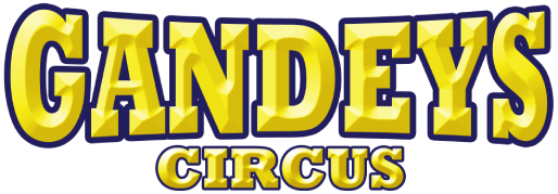 Circus Rio logo