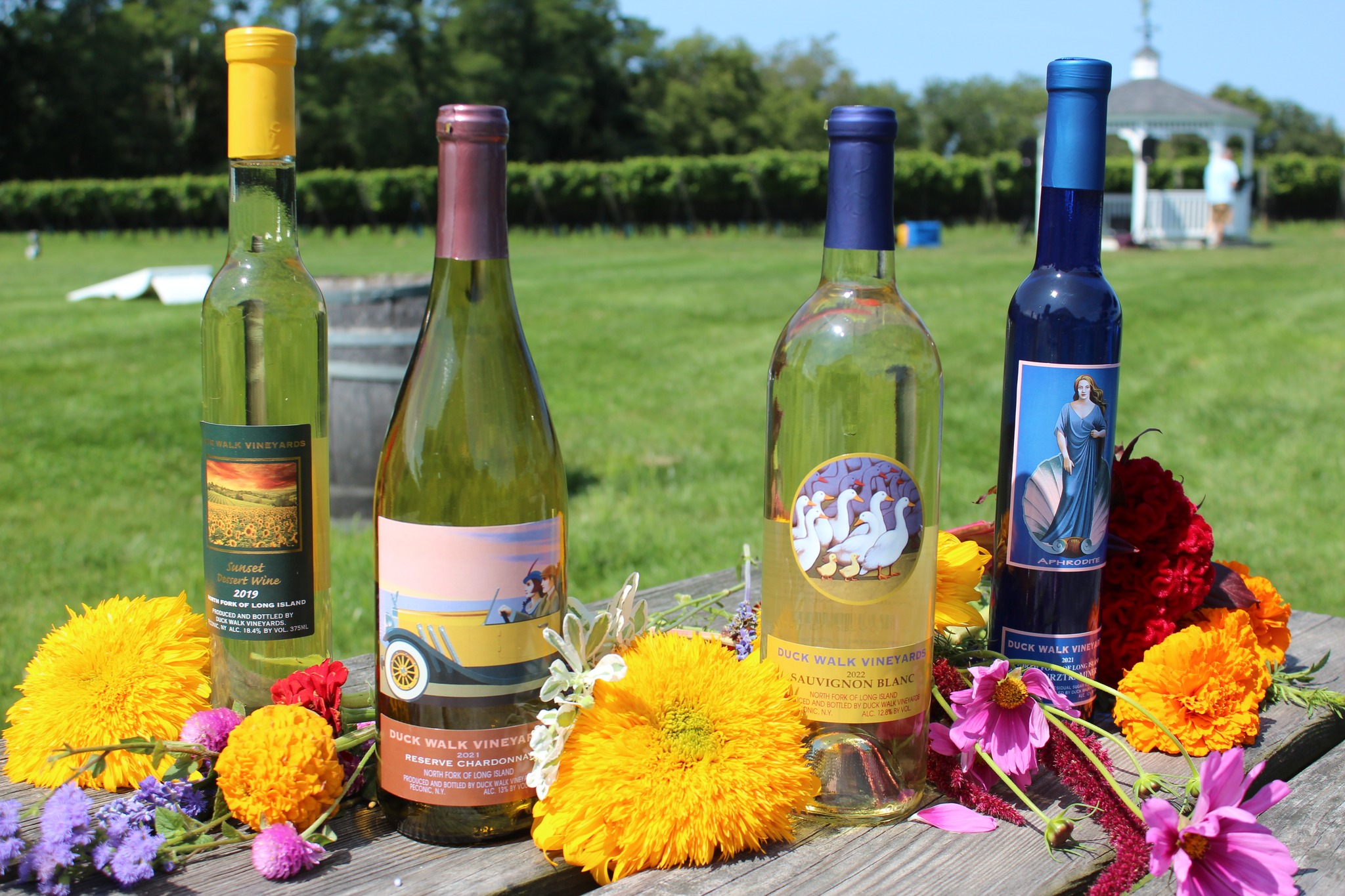 Duck Walk Vineyards