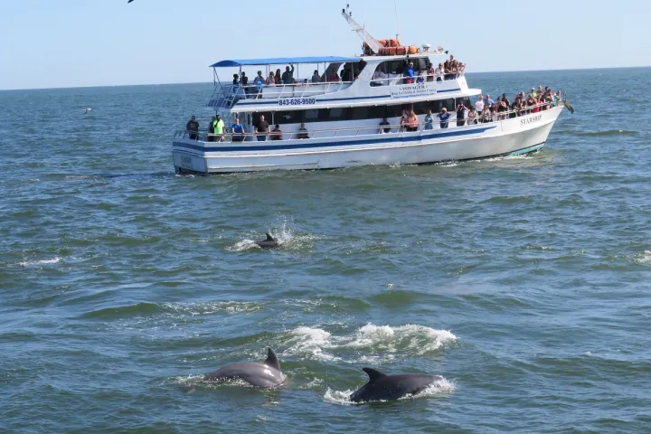 Dolphin Cruise Myrtle Beach