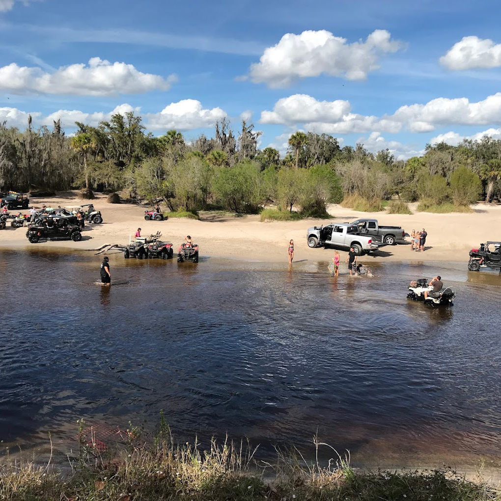 What to expect media