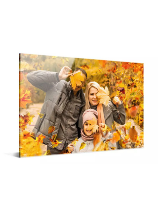 acrylic plate by canvasonsale