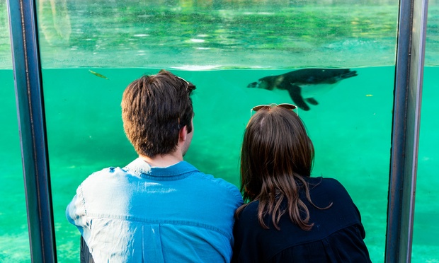 Zoo Nights at London Zoo