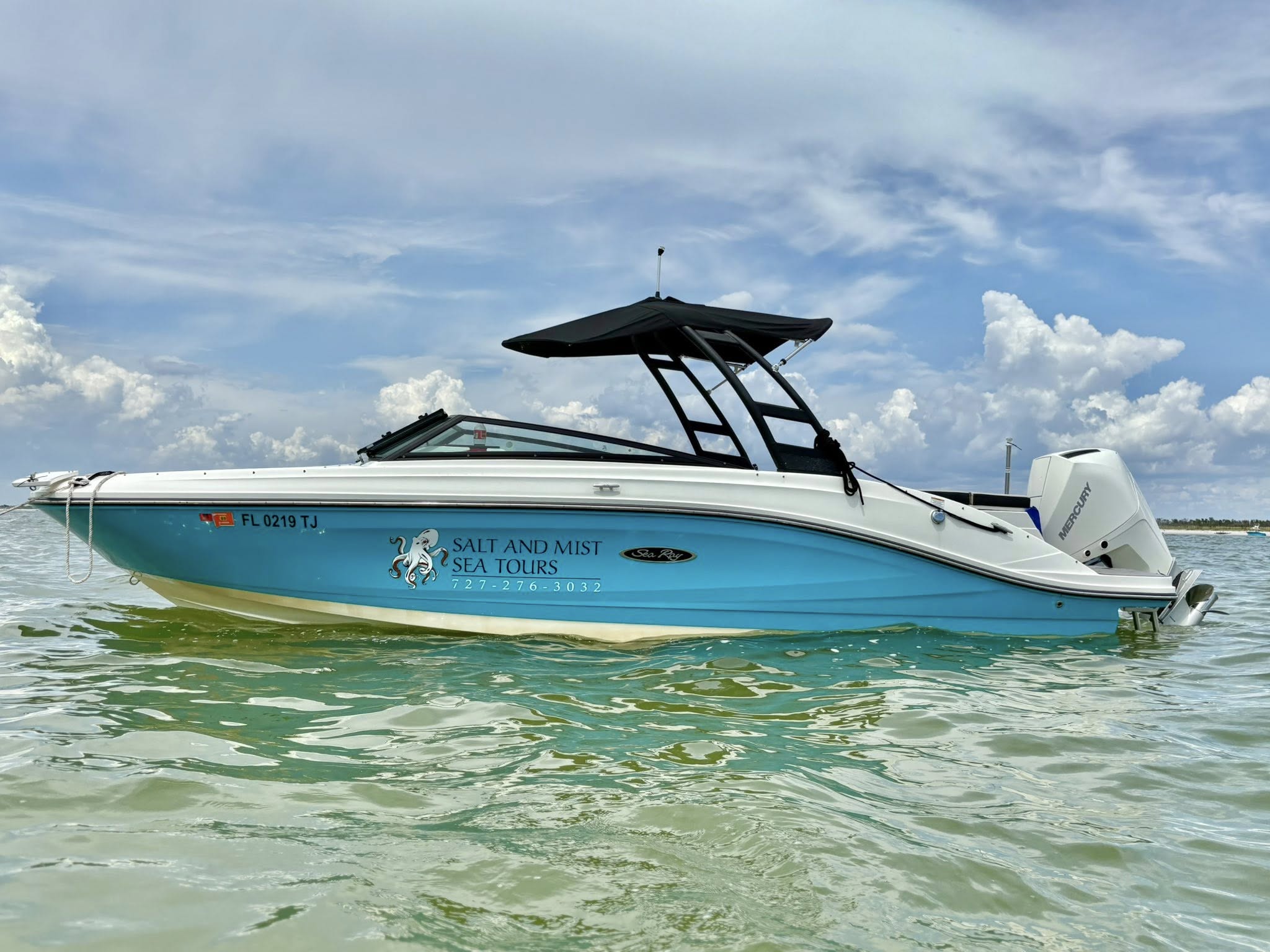 Dolphin Cruise 2