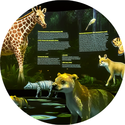 Hologram Zoo Surfers Paradise