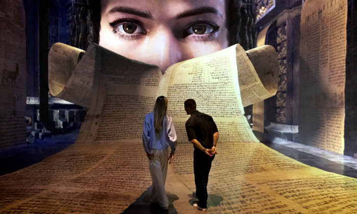 What to expect media