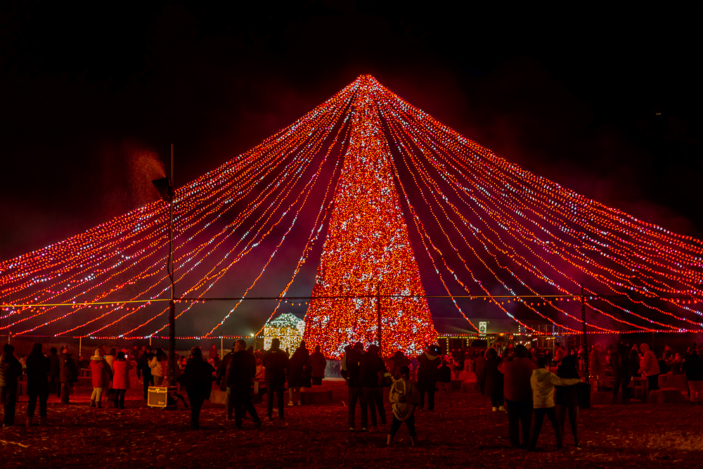 What to expect media