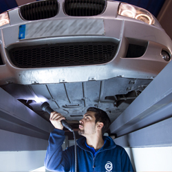 Descripción de la imagen