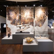 Houston Museum of Natural Science