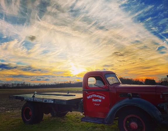 Westhaven Farm at Sunset