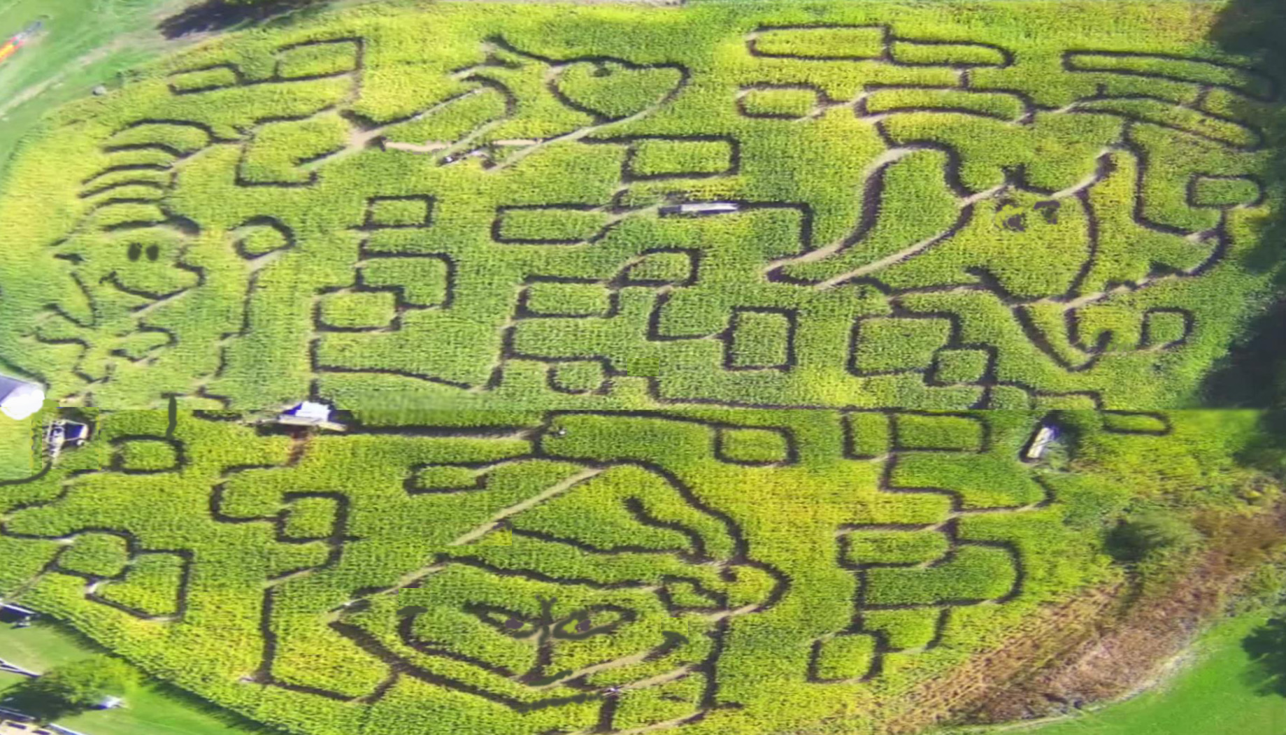 Schuyler Farms Corn Maze