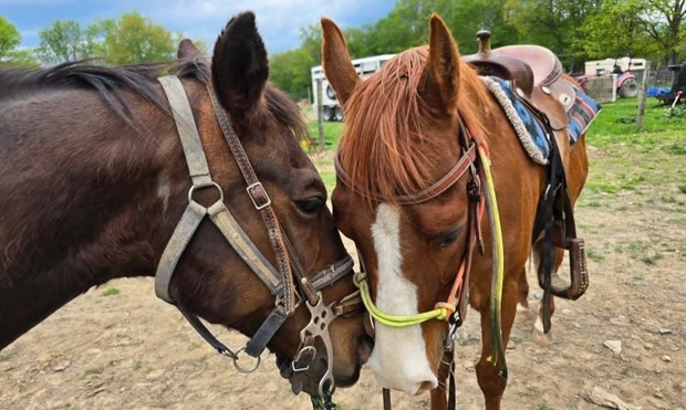 What to expect media