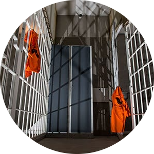 Fox in a Box Gold Coast