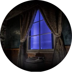 Fox in a Box Gold Coast