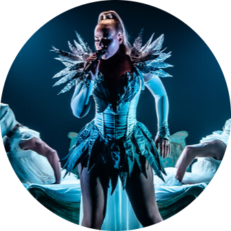 Dracula’s Gold Coast