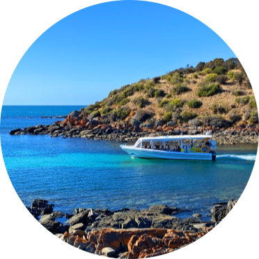 Kangaroo Island Ocean Safari