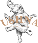 Ushna logo and website