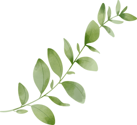 Livraison de plante