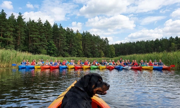 What to expect media