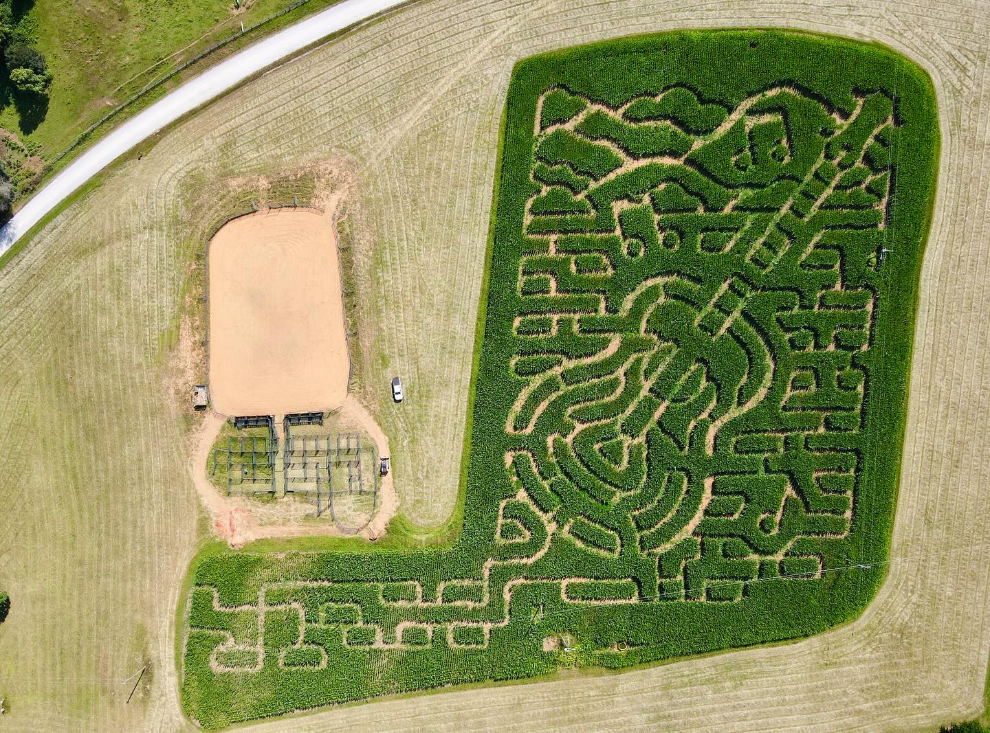 Corn Maze Fun 1