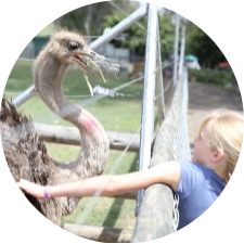 EcoPark Fishing World & Farm Stay