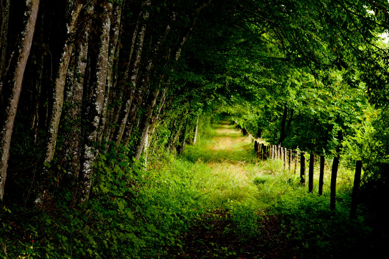 Parc et Château de Valençay