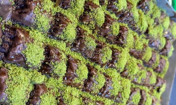 3469a877-9dfe-4ea6-84b3-6b6283bc1170_image