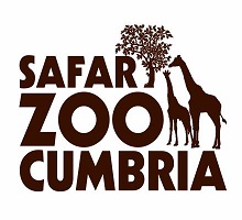 Safari Zoo Cumbria