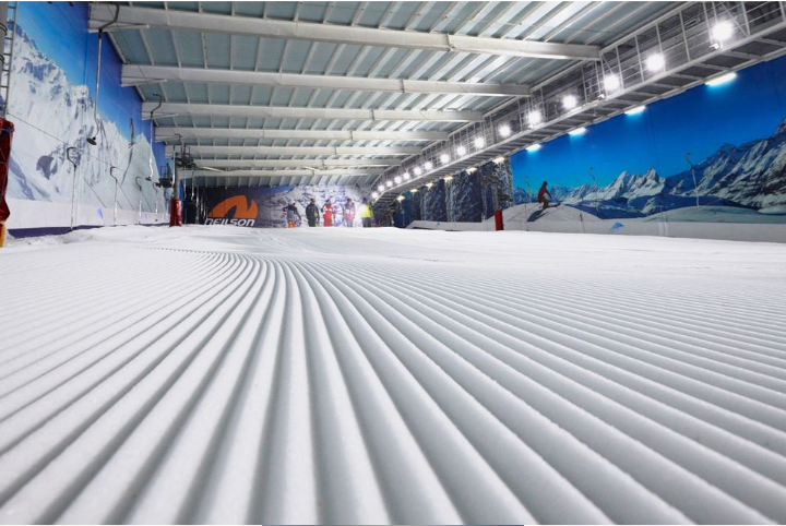 The Snow Centre