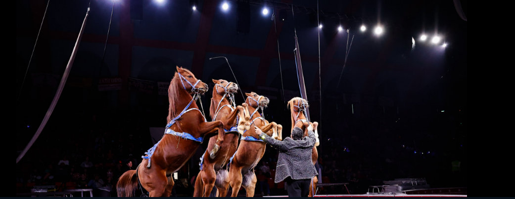 circus
