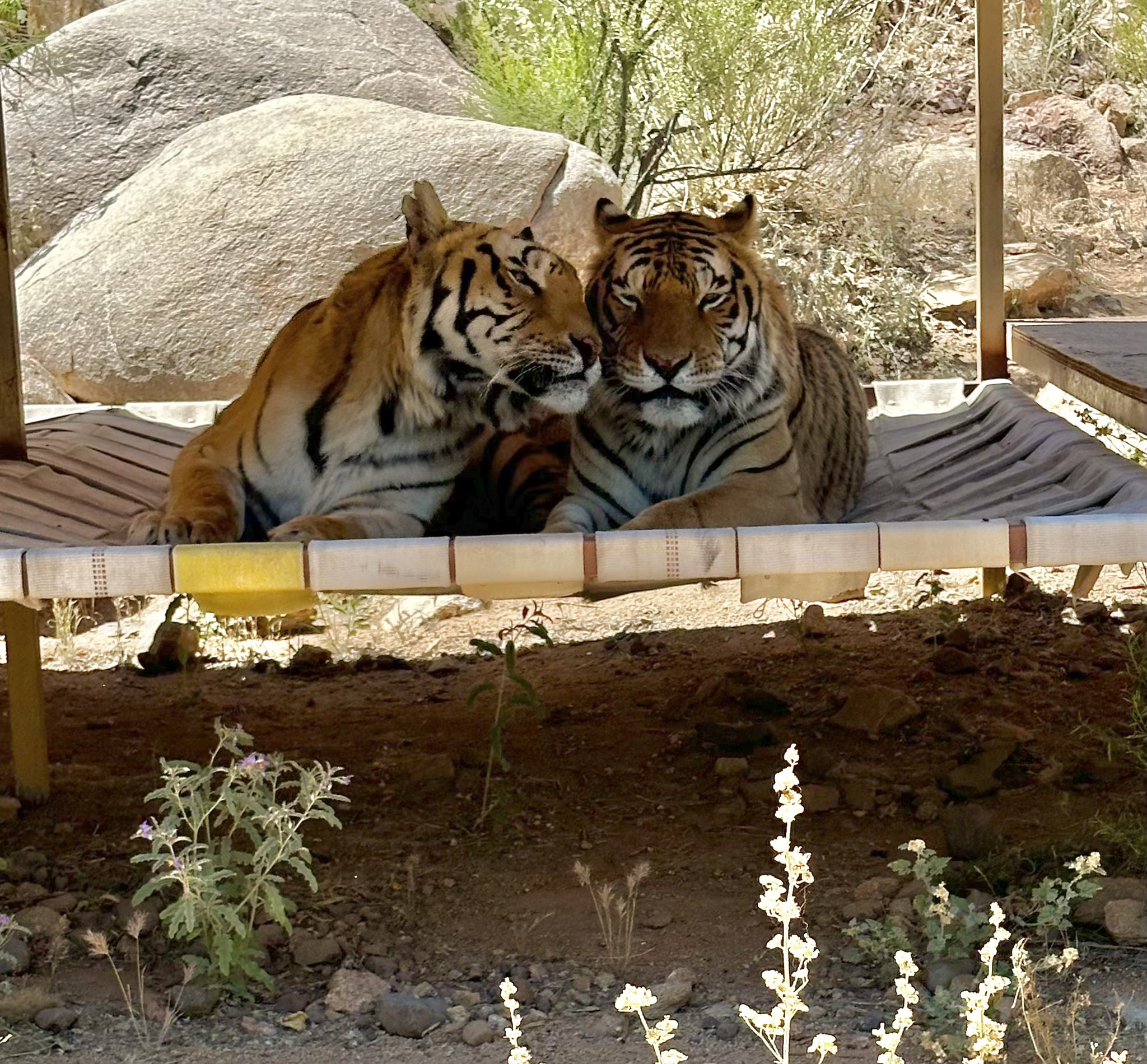 Keepers of the Wild Nature Park