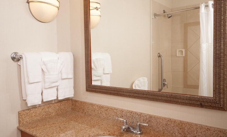 Image 11: Hilton Garden Inn Atlanta Airport/Millenium Center Hotel