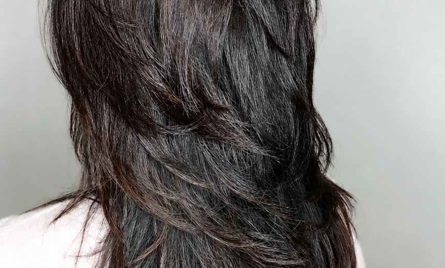 Image 3: Fresh Highlights, Color Retouch, or Perm with Haircut & Blowdry