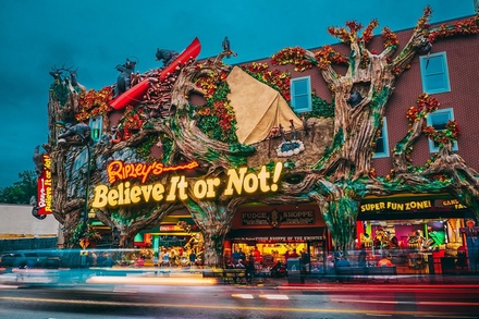 1 Child (ages 2-5): Admission to Ripley's Believe It or Not! - Ripley's Believe It or Not! - Gatlinburg