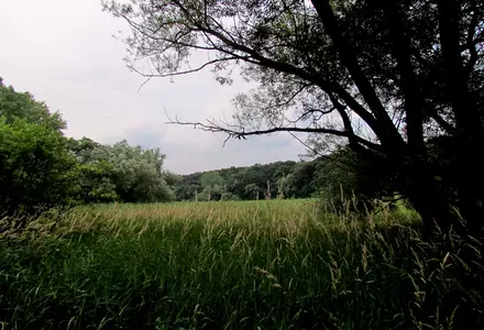 Wildwood Park