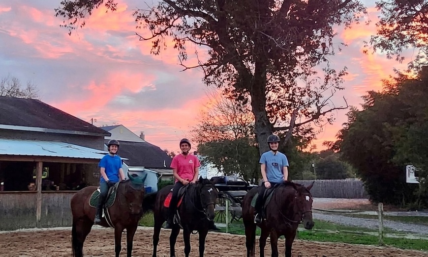 Image 5: Elevate Your Riding Skills: Scenic Horseback Riding Lesson for 2 or 4