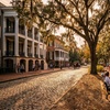 Image 4: Discover Savannah’s Story on a 75-Minute Narrated Trolley Tour