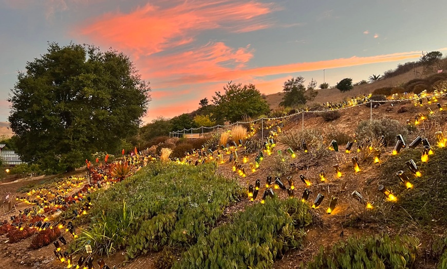 Image 3: Nature Lights: Immersive Outdoor Experience in San Luis Obispo