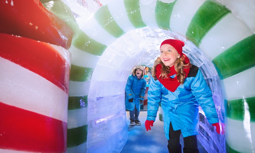 Image 4: Ticket to ice!™ featuring Harry Potter™ at Gaylord Texan Resort 