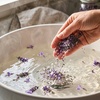 Image 7: Up to 51% Off on Nail Salon - Pedicure at Natural Nails With Kay