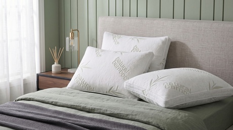 SAMPUR Pack (x4) ,Oreillers microfibre 60x60 cm housse polyester bamboo