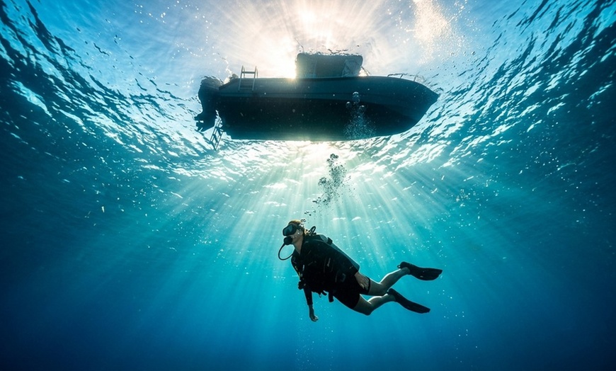Image 3: Private PADI Scuba Certification Course Including All Scuba Gears