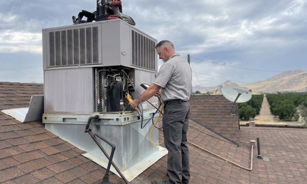 Cleaning and inspection of forced-air heating unit - Avid Air