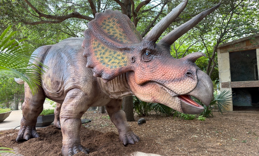Image 23: San Antonio Zoo Discount Tickets & Savings!