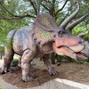 Image 23: San Antonio Zoo Discount Tickets & Savings!