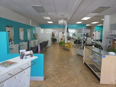 Lowlights + Blowdry - Glaze Organic Salon And Spa