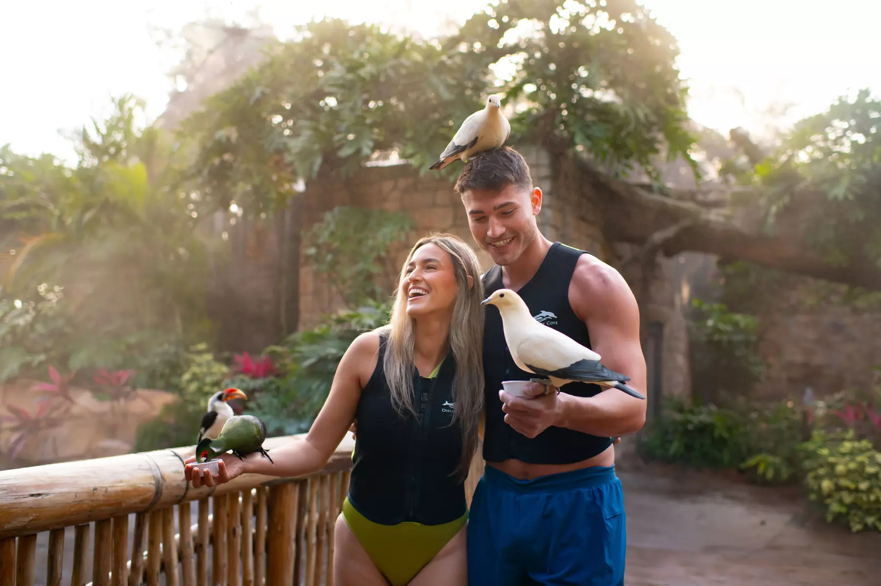 Experience Unforgettable Animal Encounters & All-Inclusive Luxury at Discovery Cove, Orlando's #1 Theme Park
