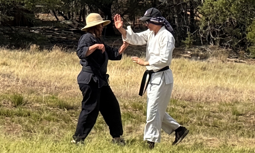 Image 5: Up to 25% Off on Martial Arts Training at Bear Dojo