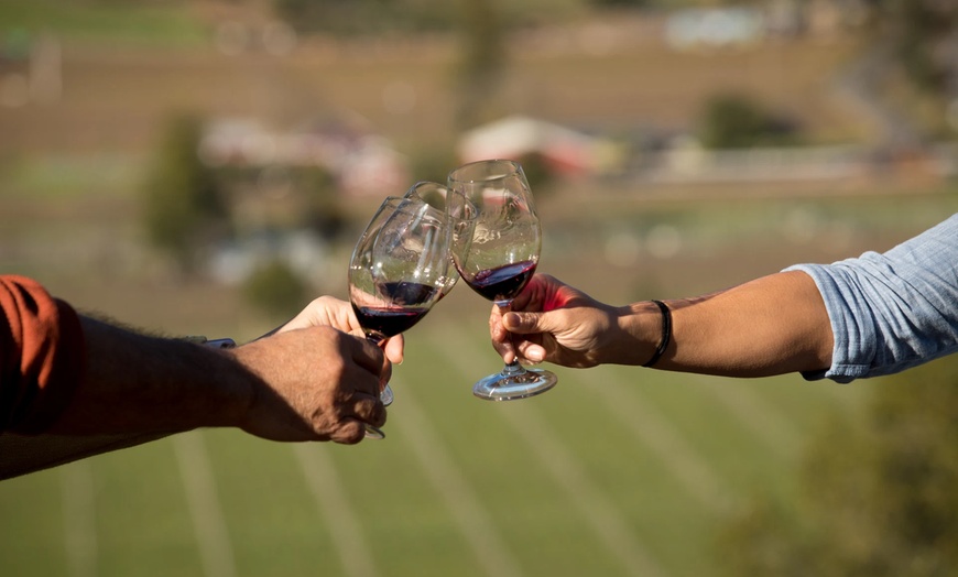 Image 4: ✈ San Francisco & Napa: 3-Night Wine Trip with Flights, Hotels & Car