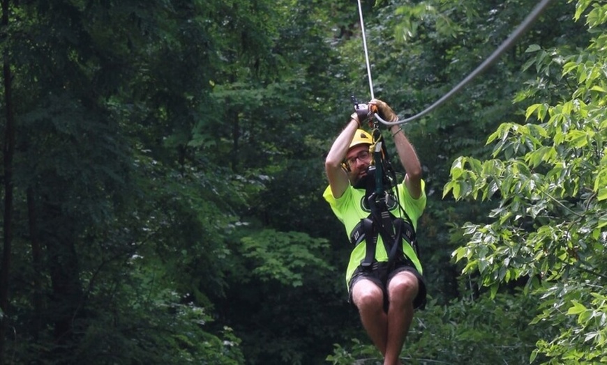 Image 6: Zipline Canopy Tours for Groups