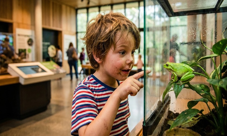 Image 8: Admission to Santa Fe's Bug and Reptile Museum 